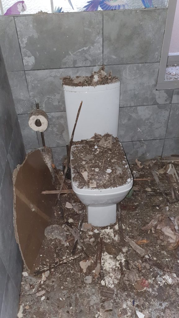 How to Install a Toilet